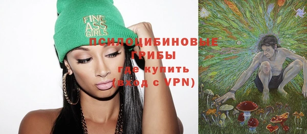 трава Бородино