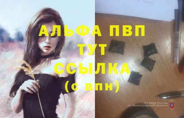 трава Бородино