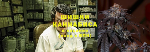 трава Бородино